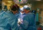 پزشکان کلیه یک خوک اصلاح ژنتیکی‌شده را به یک بیمار زنده پیوند زدند