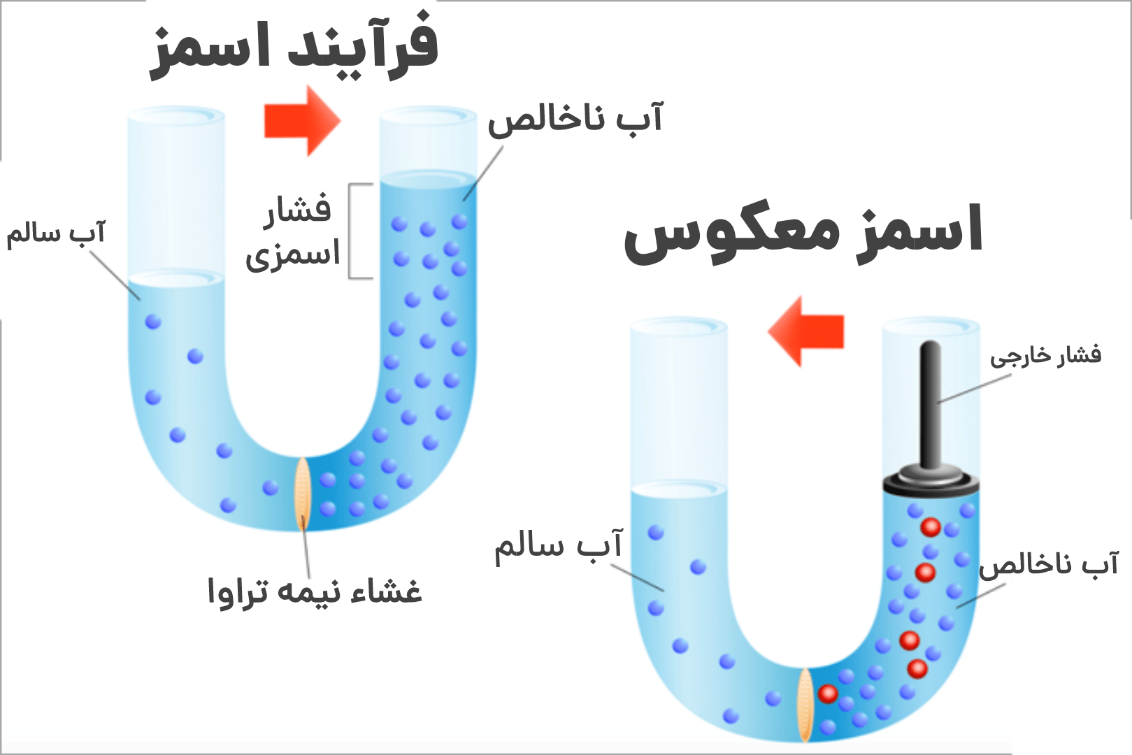 اسمز معکوس
